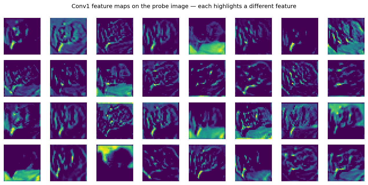 Grid of 32 feature maps from the first conv layer applied to a CIFAR cat image